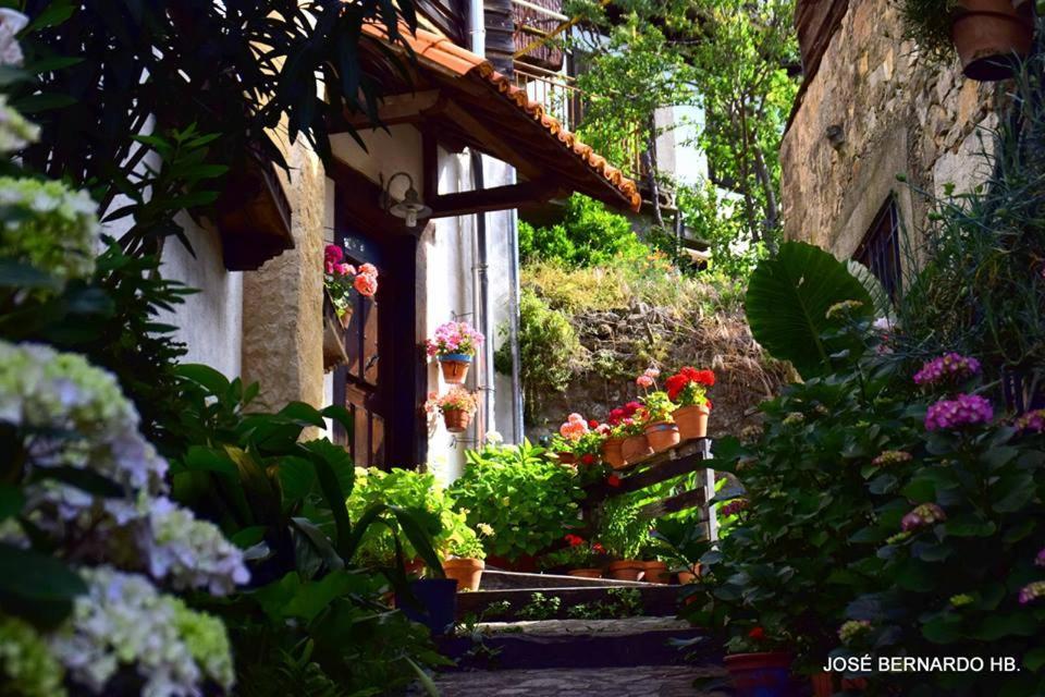 Casa Rural Amparo Mogarraz Exteriör bild